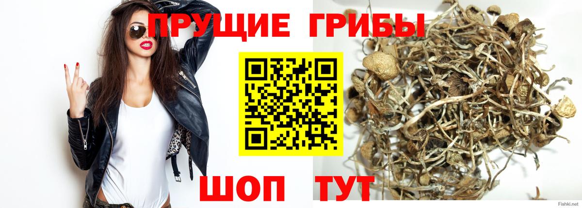 Галлюциногенные грибы Psilocybine cubensis  Вход с VPN  Псилоцибиновые грибы ЛСД  Красноармейск 